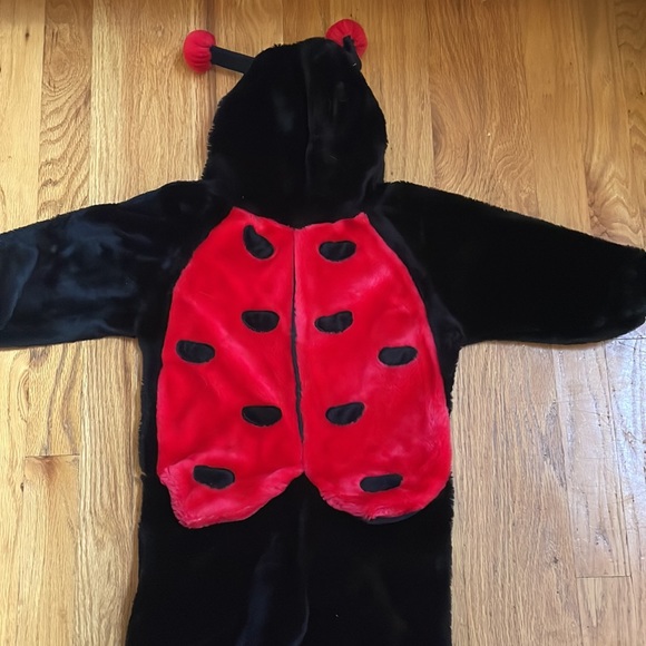 Lady bug costume - Picture 2 of 2
